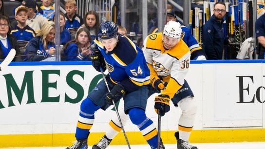 Blues Recall Dalibor Dvorsky as Offense Searches for Spark (St Louis Blues)
