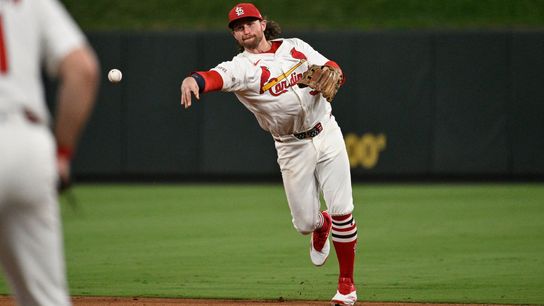 Why You Shouldn't Hold Your Breath For Cardinals Splash This Winter (St Louis Cardinals)