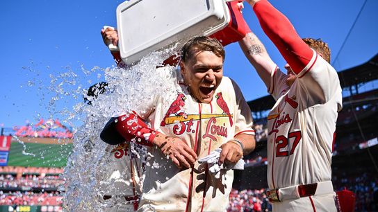 Cardinals Offense Does Not Quit In Opening Series Win Over Rays (St Louis Cardinals)