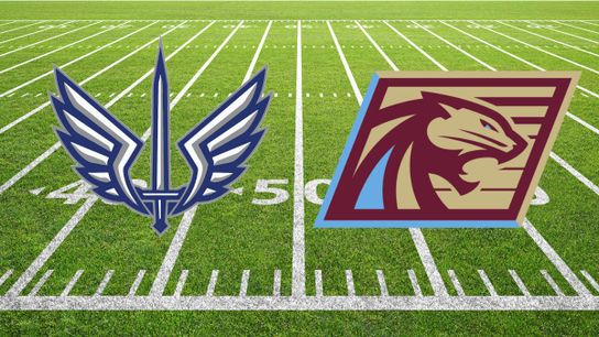 Battlehawks vs Panthers Betting Preview: Can Battlehawks End Skid? (gambling fantasy )